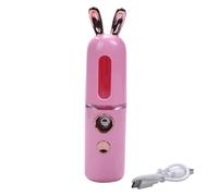 Giwnhvx New Mini USB Rechargeable Nano Hydrator Sprayer Women Beauty Instruments Home Use Humidifier Face Steamer Easy to Use Pink