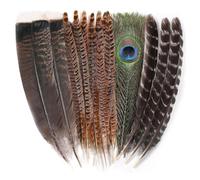Giyehehi 15 large natural feathers, 4 different types, craft feathers, peacock, pheasant and turkey feathers for crafts, weddings, autumn parties and decorations