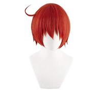 GJBXP Hairpieces Anime Cosplay Rose Net Wigs with Bangs 100% High-Temperature Resistant Fiber Orange Red Short Straight Hair 12inches