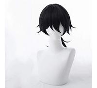 GJBXP Hairpieces Fate/Grand Order Anime Cosplay Rose Net Wigs High-Temperature Resistant Fiber Ponytail Black 20 Inches