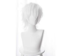 GJBXP Hairpieces to Aru Majutsu no Index Anime Cosplay Rose Net Wigs High-Temperature Resistant Fiber Short Hair White 14 Inches