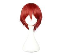 GJBXP Hairpieces Unisex Short Straight Red Anime Convention Fan Costuming Disguise Character Play Cosplay Party Wig