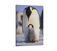 GJDYMX Cute Animal Poster Penguin Poster Decorative Painting Canvas Wall Posters And Art Picture Print Modern Family Bedroom Decor Posters 08x12inch(20x30cm)