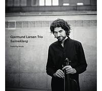 Gjermund Larsen Trio - Salmeklang