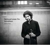 Gjermund Larsen Trio Salmeklang (CD)