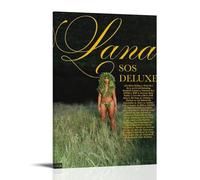 GJLXVN SOS Deluxe LANA Waterproof And Stain Resistant Wall Paintings High-definition Spray Painted Decorative Paintings Study And Coffee Shop Decorations Fade ResistantFrame-style20x30inch(50x75cm)