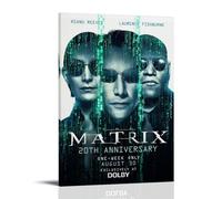 GJLXVN The Matrix Waterproof And Stain Resistant Wall Paintings High-definition Spray Painted Decorative Paintings Study And Coffee Shop Decorations Fade ResistantFrame-style24x36inch(60x90cm)