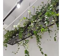GJMSSMY Modern Hanging Plant Flower Pot Stand with Iron Chain Wall Mounted Storage Rack and Wine Holder for Bar or Office Floating Decorations Shelves (120x25x15cm)