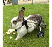 GJUOFFKO Dog Wheelchair Adjustable 2-Wheel Dog Cart/Wheelchair for Old Dog, Cat, Rabbit, Scooter Dog Cart Dog Wheelchair Back Legs Rehabilitation