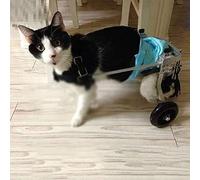 GJUOFFKO Full Support Dog Walking Wheelchair 2 Wheels Adjustable Mobile Dog Cart for Hind Legs Injured Pet Assist Walker Support