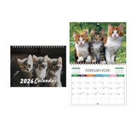GkgWuxf Cat Wall Calendar - 2026 Funny Wall Calendar Diary Thick Paper Year Planner from January to December for Household Office Kitchen Living Room Bedroom
