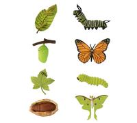 Gkhlg 8 Pieces Butterfly and Luna Moth Life Cycle Model Set Realistic Educational Grow Butterfly Kit Caterpillar Perfect for Homeschoolers Classroom Teaching Party Decorations and Nature Lovers
