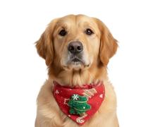 Gkumgwo Christmas Bandana for Cats, Adjustable and Elastic Holiday Costume - Christmas Cat Bandana with Collar, for Use at Photo Shoots, Parties, Role Play and