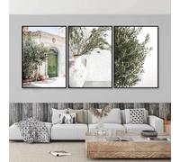 GKUVBF Spanish Italy Puglia Architecture Posters Canvas Painting Green Leaves Indoor Plants Wall Art Print Living Room Decor 50x75cm-3Pieces Frameless