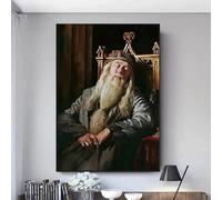 GKUVBF Vintage Headmasters Gallery Portraits Poster Print Professor Sleep Canvas Painting Wizard Magic School Poster Home Deco(30x45cm/Frameless)