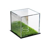 GKYQVE Ball Display Case Storage Box Balls Collector Organizers Signatures Golf Storage Container Golf Case