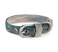 Glacier National Park Dog Collar Adjustable Soft and Comfortable Puppy Collars with Metal Buckle Pet Collar for Small Medium Pet