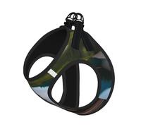 Glacier National Park Print Pet Leash Vest Soft Adjustable Step in Puppy Vest Outdoor Walking with Leash