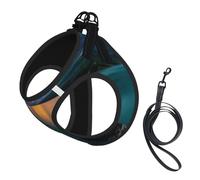 Glacier National Park Small Pet Harness Vest - Full Print Design, Adjustable and Reflective for Safety, Suitable for Small Cats and Dogs Pet leash vest