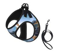 Glacier National Park Small Pet Harness Vest - Full Print Design, Adjustable and Reflective for Safety, Suitable for Small Cats and Dogs Pet leash vest
