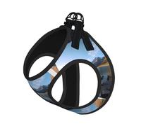 Glacier National Park Small Pet Harness Vest - Full Print Design, Adjustable and Reflective for Safety, Suitable for Small Cats and Dogs Pet leash vest