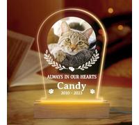 Glad Gua Always in Our Hearts Personalized Acrylic 3D LED Light, Christmas Memorial for Loss of Dog, Pet Memorial Gift, Dog Remembrance Gift