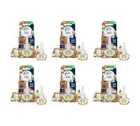 Glade Electric Plug In Refill Sensual Sandalwood & Jasmine 20Ml X 6
