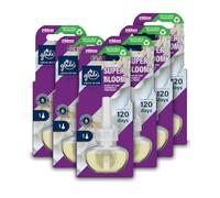 Glade Plug in Air Freshener Refill, Electric Scented Oil Room Air Freshener, Super Bloom, Pack of 6 (6 x 20ml)