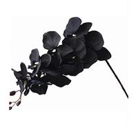 Gladiolus garden 5pcs Faux Butterfly Orchid Flower Branch 8 Heads Artificial Moth Phalaenopsis Plant 105cm Long for Wedding Centerpieces Floral Arrangement (black)