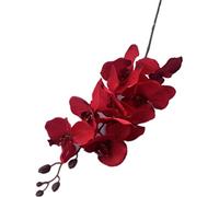 Gladiolus garden 5pcs Faux Butterfly Orchid Flower Branch 8 Heads Artificial Moth Phalaenopsis Plant 105cm Long for Wedding Centerpieces Floral Arrangement (red)
