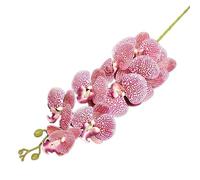 Gladiolus garden 5pcs PU Real Touch Butterfly Orchid Flower Branch 9 Heads Artificial Moth Phalaenopsis Plant 105cm Long for Wedding Centerpieces Floral Arrangement (color 14)