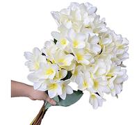 Gladiolus garden 5pcs Silk Frangipani Flower Tree Branch Fake Artificial Plumeria Rubra Tropical Flowers for Home Wedding Centerpieces Home Party Floral Decoration (white)