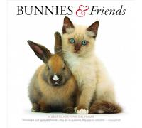 Gladstone Media, Bunnies & Friends 2027 Square Wall Calendar - 16-Month Calendar, Cute Bunny & Small Animal Photography, Monthly Planner, Large Date Grid, 12″ × 12″, Gift