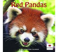 Gladstone Media, Red Pandas 2027 Square Wall Calendar - 16-Month Calendar, Cute Red Panda Photography, Wildlife-Themed Monthly Planner, Large Date Grid, 12″ × 12″, Gift