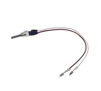 GLAGMGATAF 12V/24V Heater Parts Glow Plug Ceramic Pin Gaskets Strainer Wrench 252106011000 Fit For Eberspacher Hydronic D4WSC D5WSC car heater(24V Glow Plug)