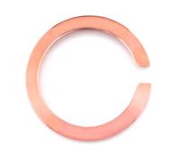 Glam Rock GC2203gr Watch Bezel