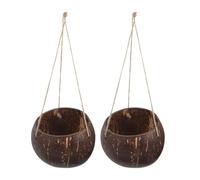 GlamourYard Novelty Planter 2pcs Coconut Shell Hanging Planter Flower Pot Basket Spring Decoration