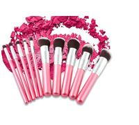 Glamza Pink Brush Set 10pc