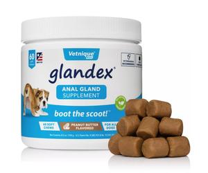 Glandex Anal Gland Support Peanut Butter Soft Chews for Dogs