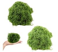 Glanxy 100 g artificial moss for decorating, artificial moss decoration moss for crafts, artificial moss, moss picture, art moss, fake decorative moss craft moss artificial moss for aquarium, walls,