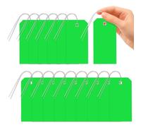 Glarks 101pcs Green 6 x 12cm Waterproof Writable Tags with String Set, PVC Shipping Tags, Heavy Duty Shipping Moving Tag, Blank Labeling Tag for Home, Office