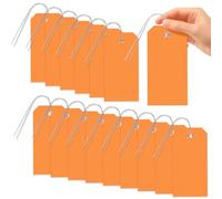 Glarks 101pcs Orange 8 x 16cm Waterproof Writable Tags with String Set, PVC Shipping Tags, Heavy Duty Shipping Moving Tag, Blank Labeling Tag for Home, Office