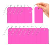 Glarks 101pcs Pink 6 x 12cm Waterproof Writable Tags with String Set, PVC Shipping Tags, Heavy Duty Shipping Moving Tag, Blank Labeling Tag for Home, Office