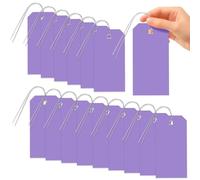 Glarks 101pcs Purple 8 x 16cm Waterproof Writable Tags with String Set, PVC Shipping Tags, Heavy Duty Shipping Moving Tag, Blank Labeling Tag for Home, Office