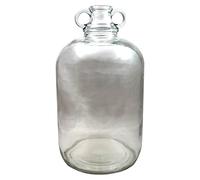 Glass 1 Gallon Demijohns
