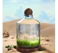 Glass Aquarium Fish Tank for Goldfish and Shrimp - Eco-Friendly Micro-Landscape Design with Wooden Base, Transparent Container for Water Plants