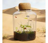 Glass Aquarium Kit, High-Definition Transparent Goldfish Tank, Suitable for Betta Fish, Aquatic Plants, and Miniature Turtle Terrariums