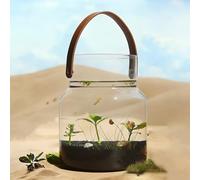 Glass Aquarium Kit, High-Definition Transparent Goldfish Tank, Suitable for Betta Fish, Aquatic Plants, and Miniature Turtle Terrariums