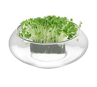 Glass Aquarium - Low Pot | Wide Round Bottom Fish Tray for Home Decoration and Presentation
