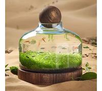 Glass Aquarium With Wooden Base, Microecosphere Fish Tank, Transparent Bottle-Shaped Batta Fish Bowel, Micro-Landscape Ecological Aquarium, Modern Glass Goldfish Tank,L